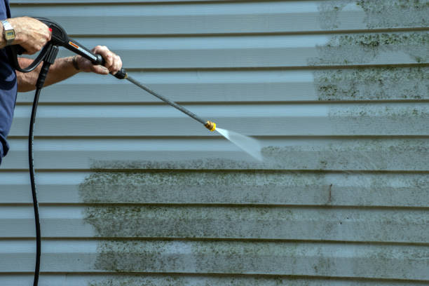 Best Soft Washing  in Ashwaubenon, WI